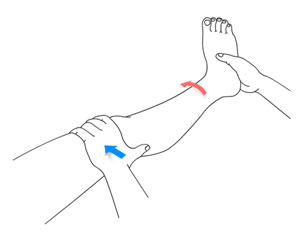 nonoperative-treatments-for-acl-injuries