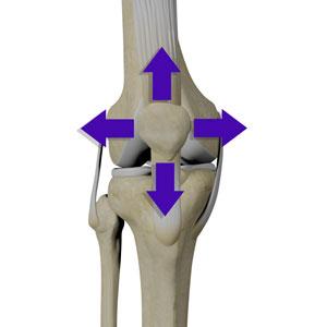 Patellar Tracking Disorder/Patellar Maltracking